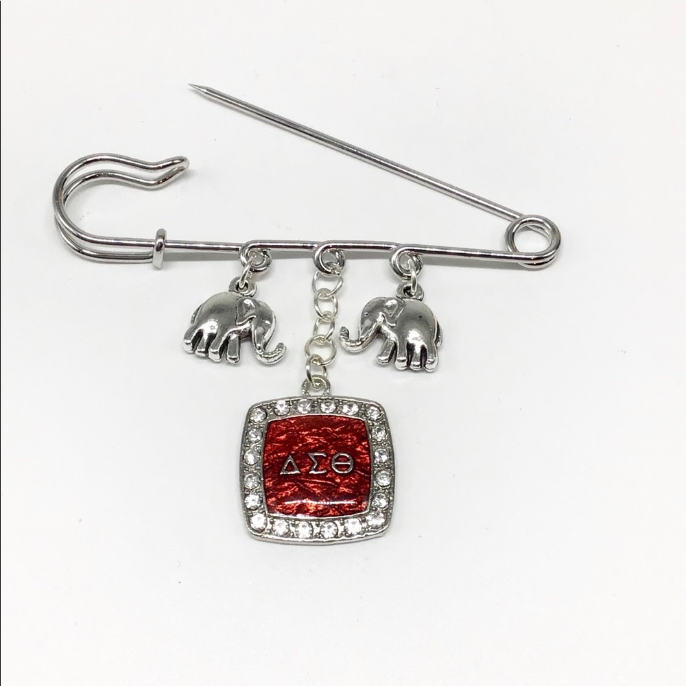 Delta Sigma Theta Pin/Keychain